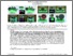 [thumbnail of mechCNN_authorVersion.pdf]