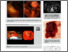 [thumbnail of a-2107-2889.pdf]