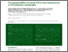 [thumbnail of lanham-et-al-2022-the-reproducibility-of-manual-rv-lv-ratio-measurement-on-ct-pulmonary-angiography.pdf]